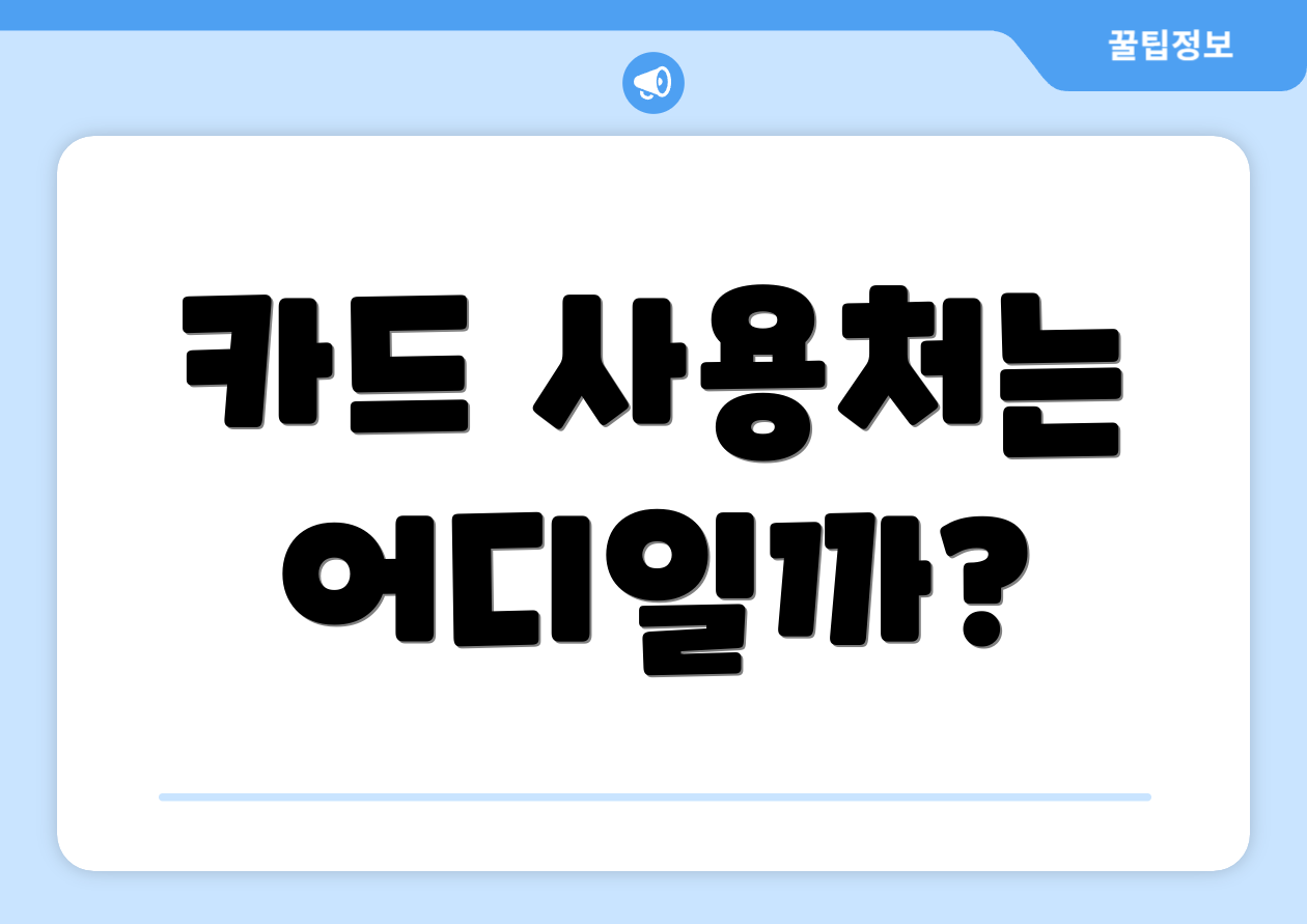 카드 사용처는 어디일까?